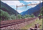 800 - 26-6-00 2-09 Biascina 19.jpg