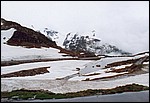 800 - 28-06-01 5-23 Sustenpass 14.jpg